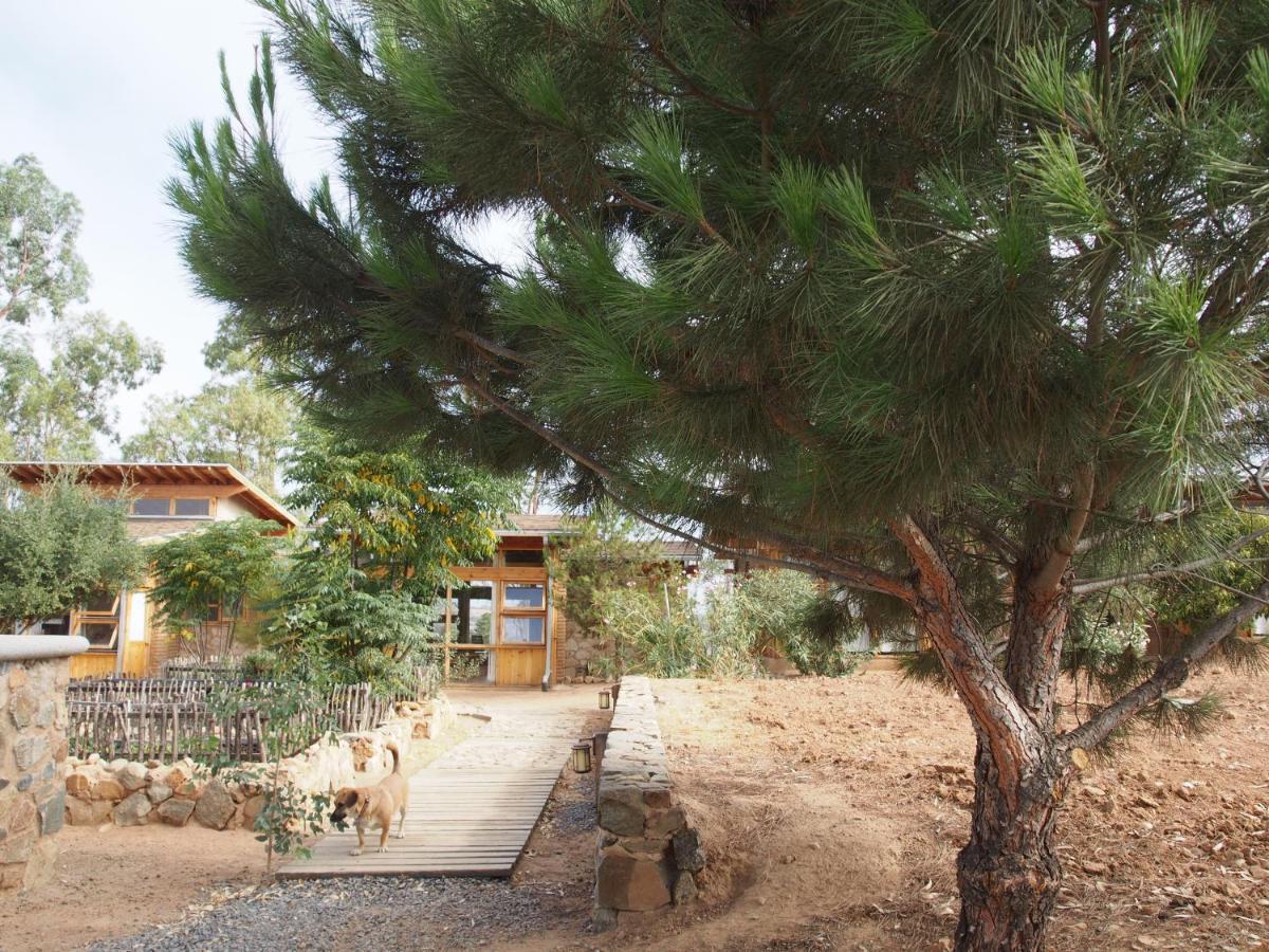 Casa Mayoral B&B Pet Friendly Valle de Guadalupe Buitenkant foto