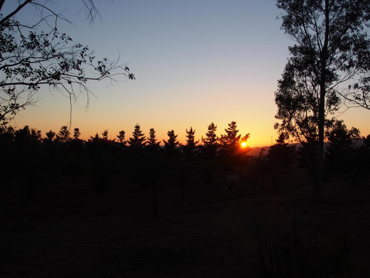 Casa Mayoral B&B Pet Friendly Valle de Guadalupe Buitenkant foto