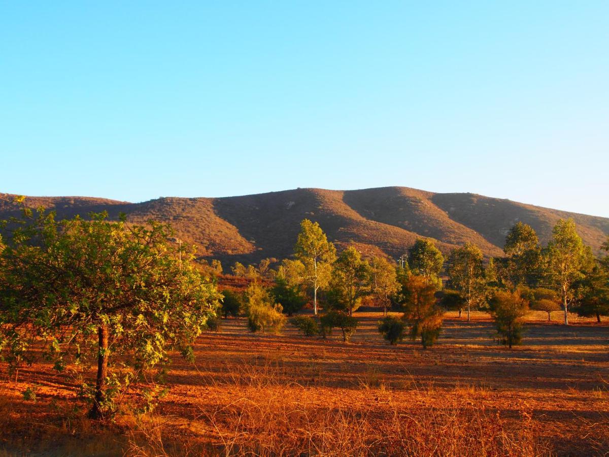 Casa Mayoral B&B Pet Friendly Valle de Guadalupe Buitenkant foto