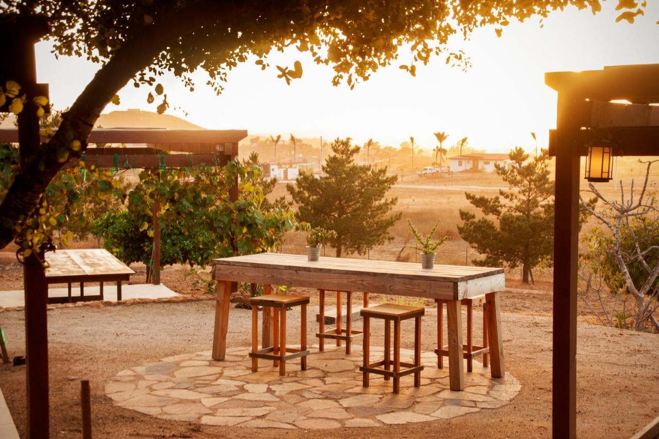 Casa Mayoral B&B Pet Friendly Valle de Guadalupe Buitenkant foto