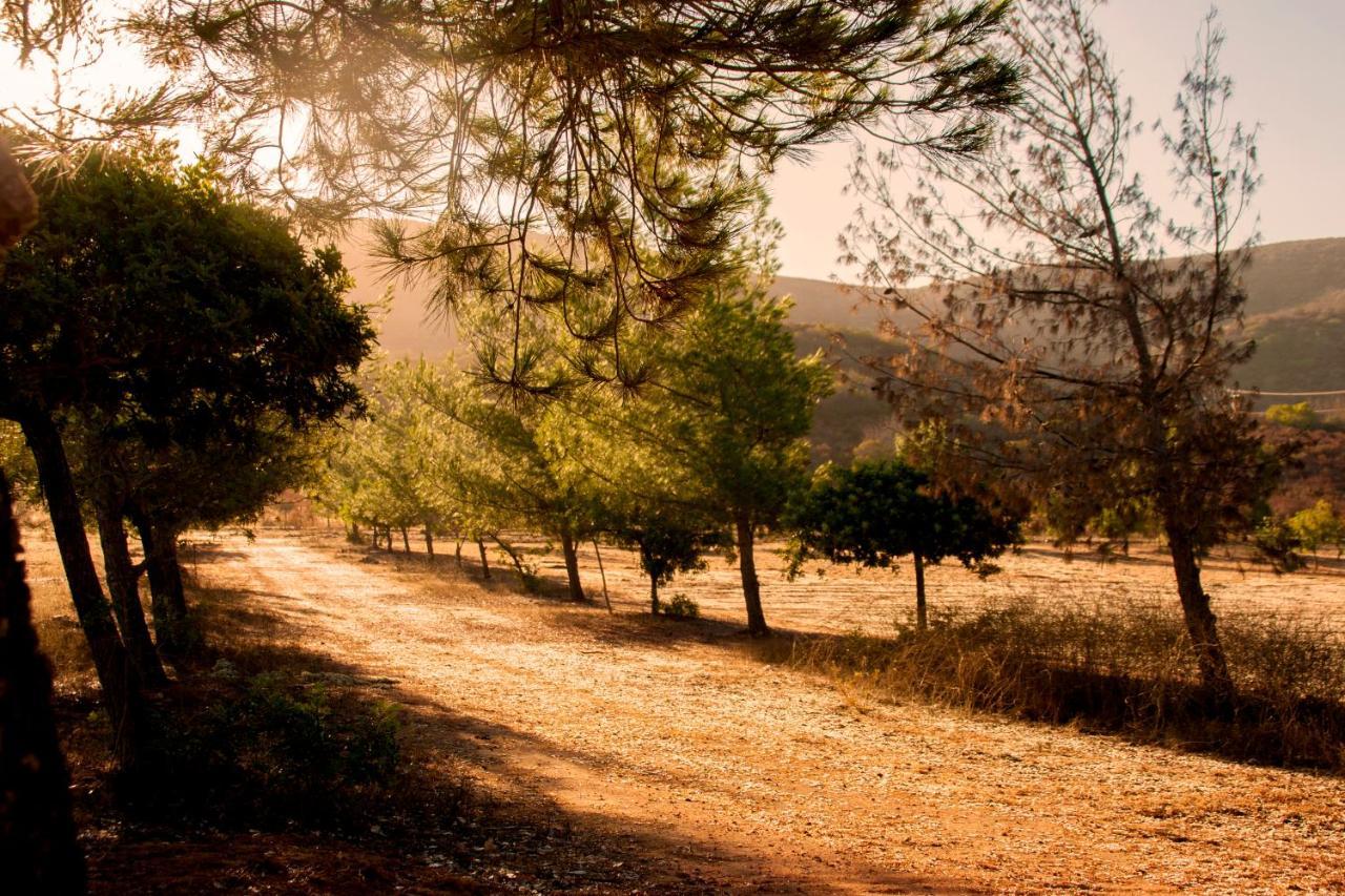 Casa Mayoral B&B Pet Friendly Valle de Guadalupe Buitenkant foto
