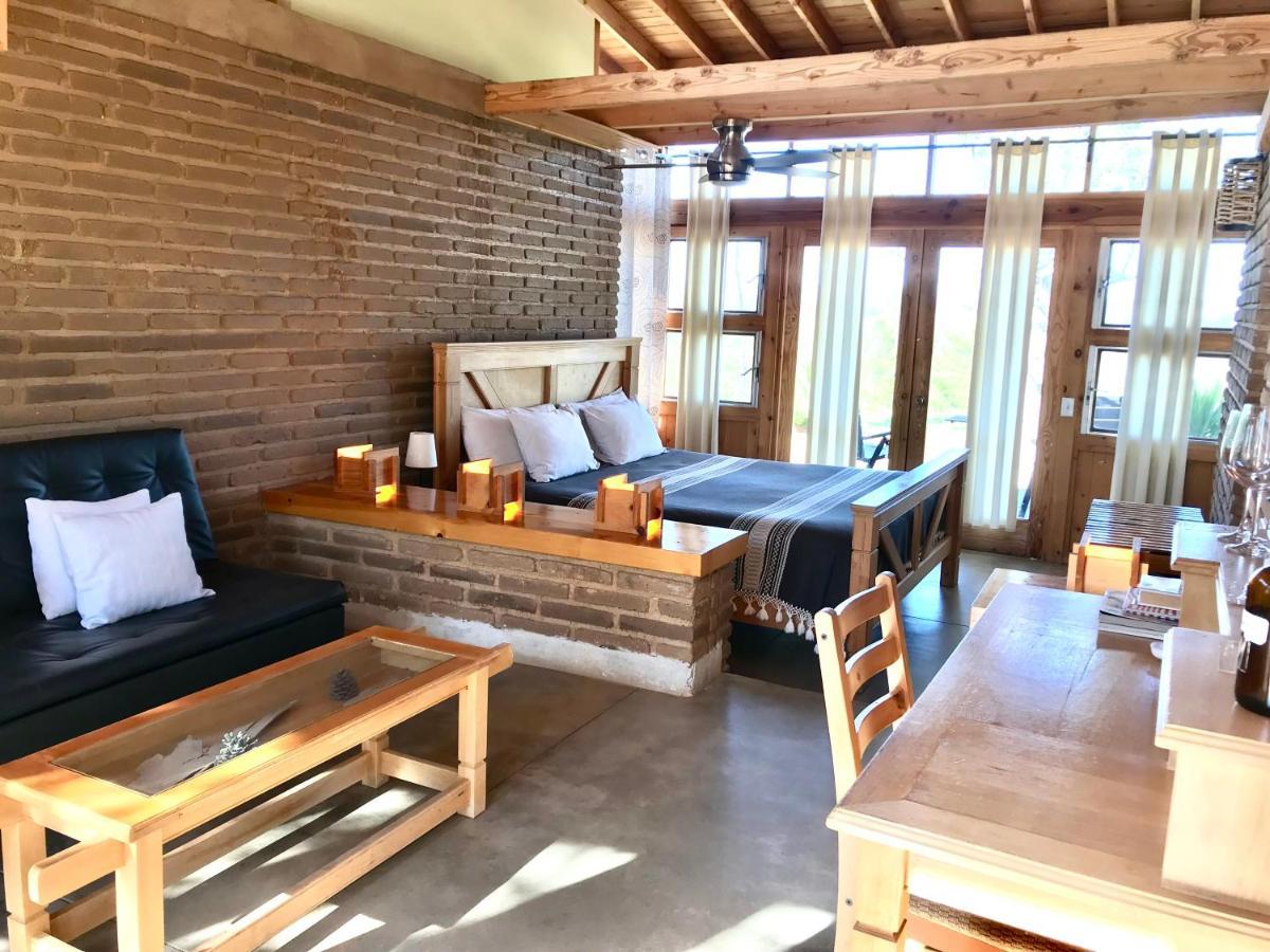 Casa Mayoral B&B Pet Friendly Valle de Guadalupe Buitenkant foto