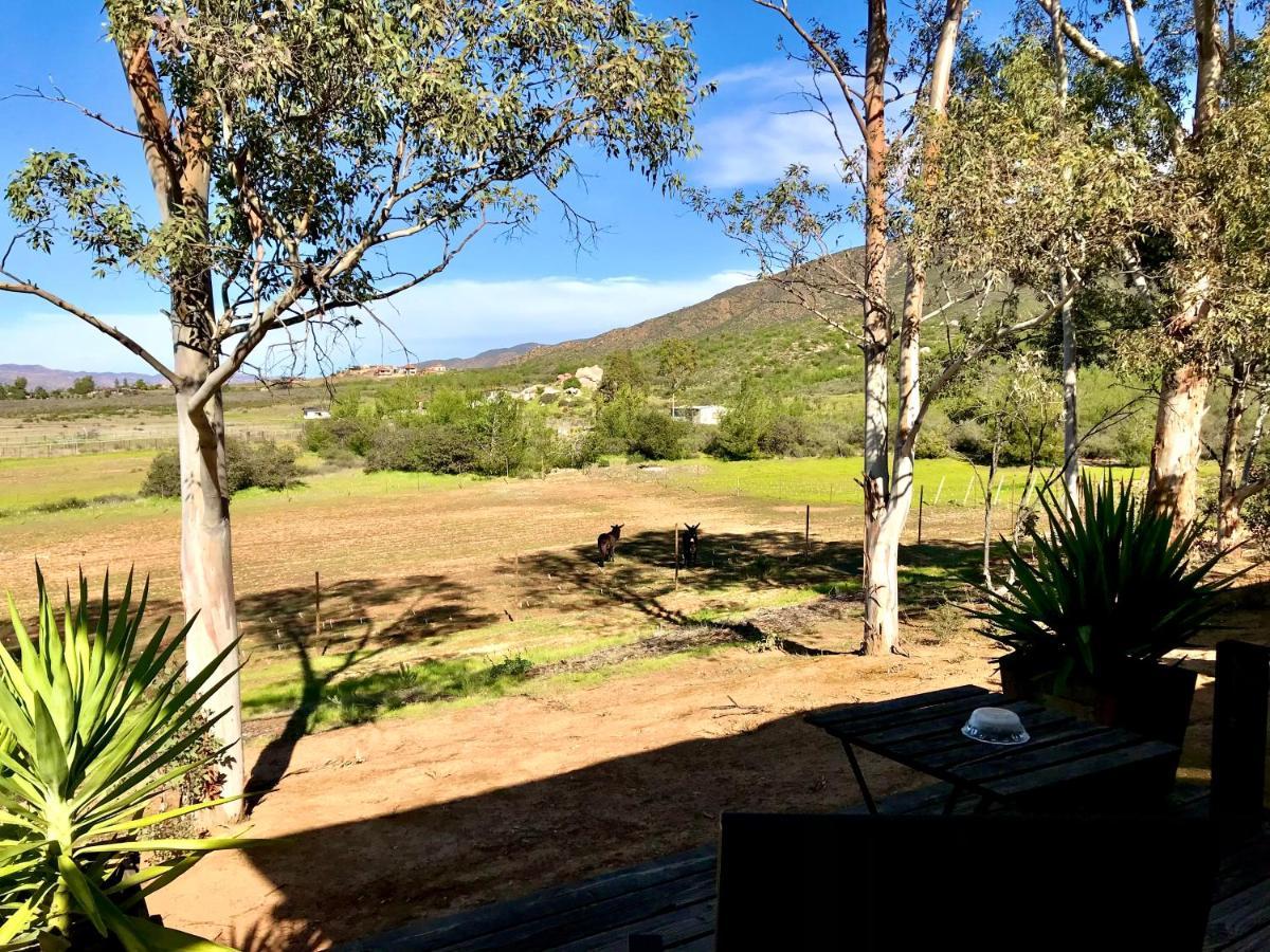 Casa Mayoral B&B Pet Friendly Valle de Guadalupe Buitenkant foto