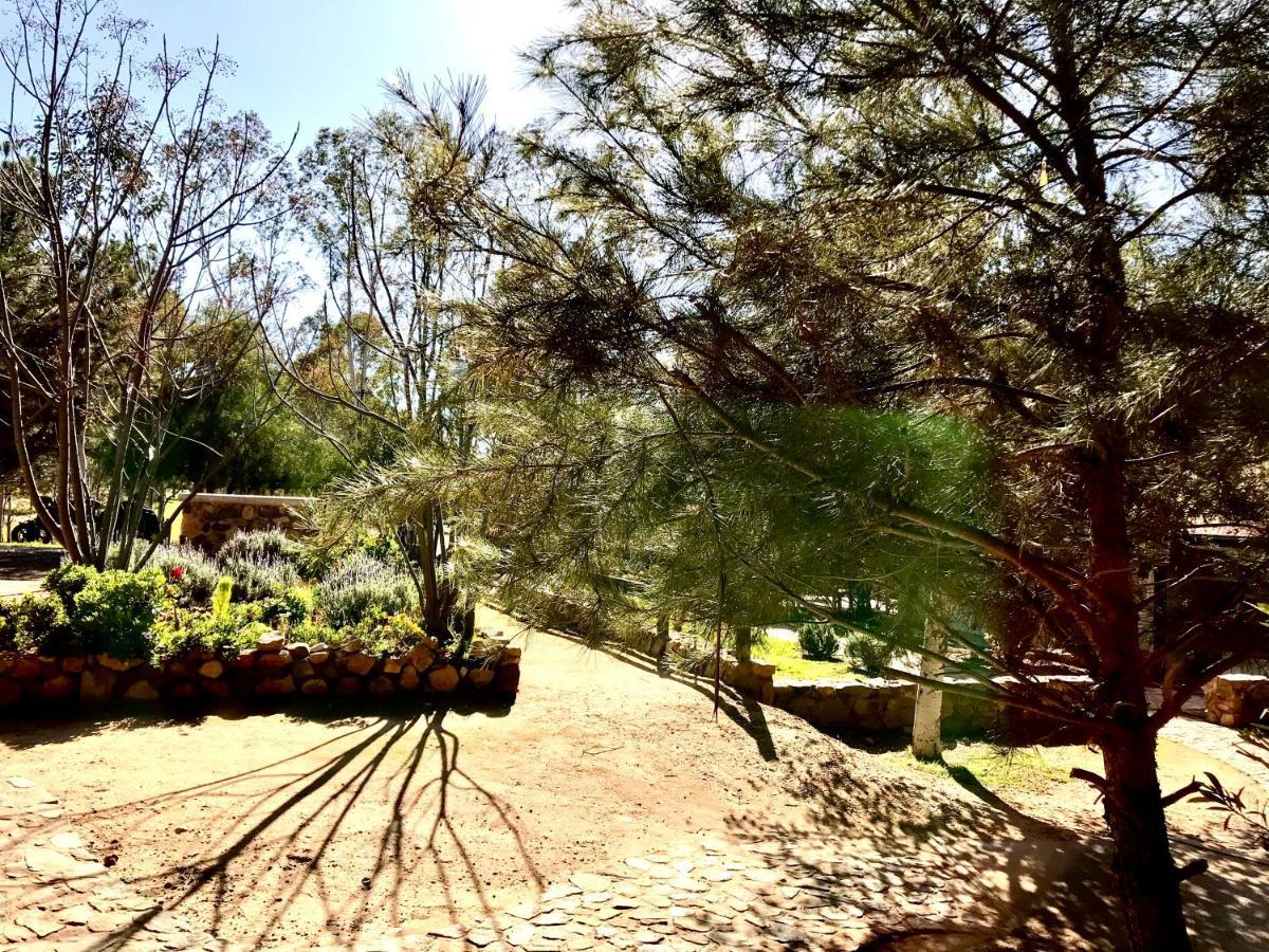 Casa Mayoral B&B Pet Friendly Valle de Guadalupe Buitenkant foto