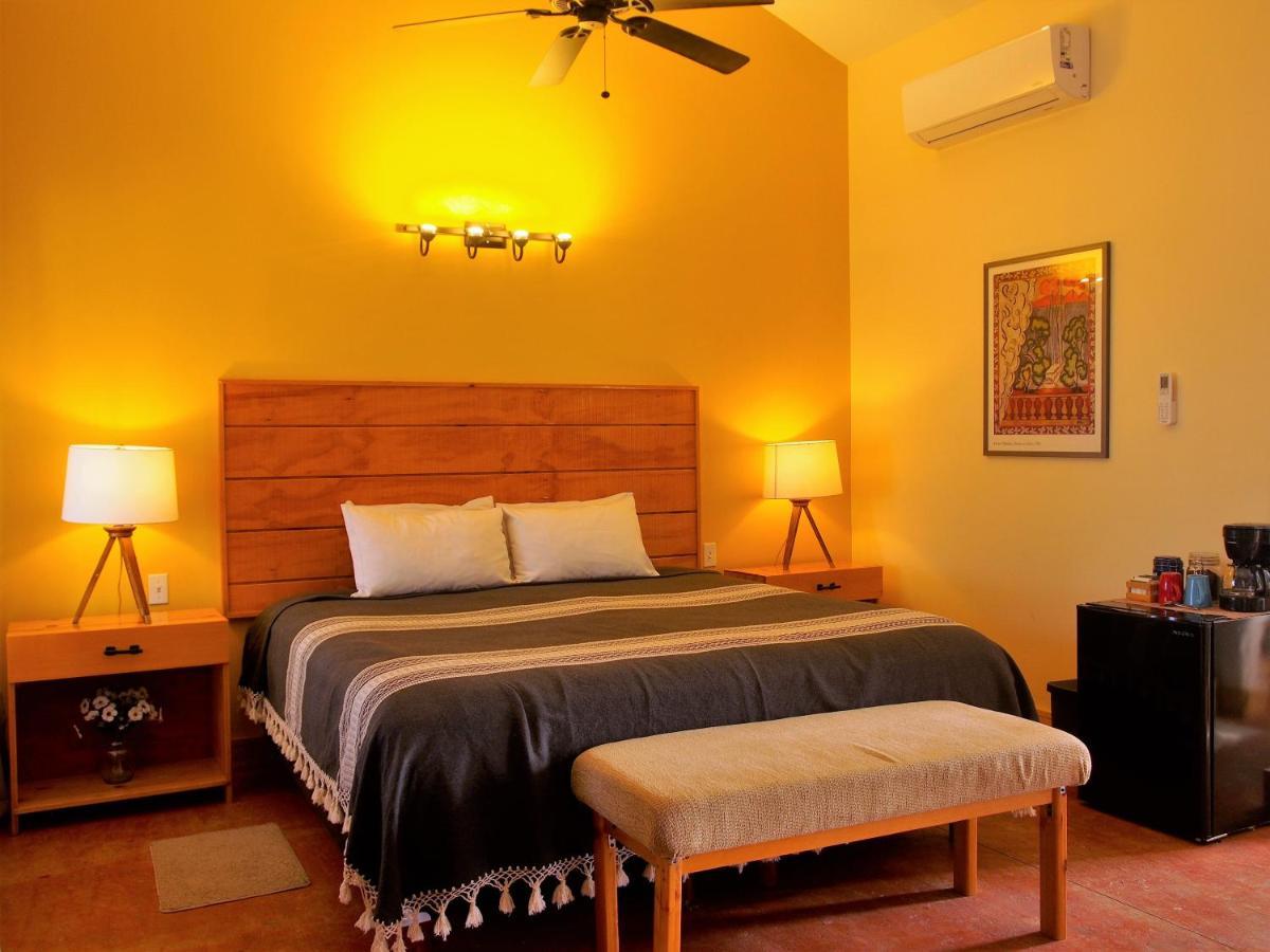 Casa Mayoral B&B Pet Friendly Valle de Guadalupe Buitenkant foto